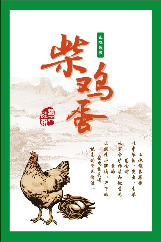 山区散养柴鸡蛋卡ai矢量模版下载