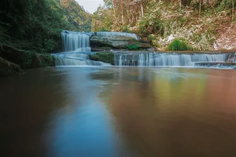 四川黄荆老林风景摄影素材 四川黄荆老林风景摄影素材