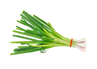 香葱 (13)超市商品白底图免抠实物摄影png格式图片透明底