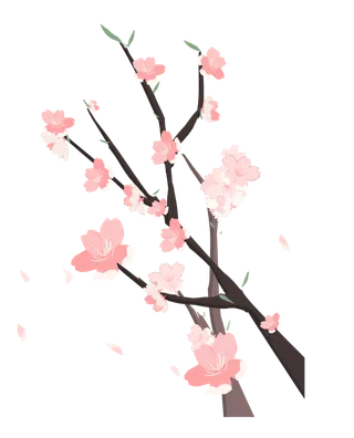 春天浪漫粉红色樱花手绘樱花梅花桃花花朵图片PNG免扣素材