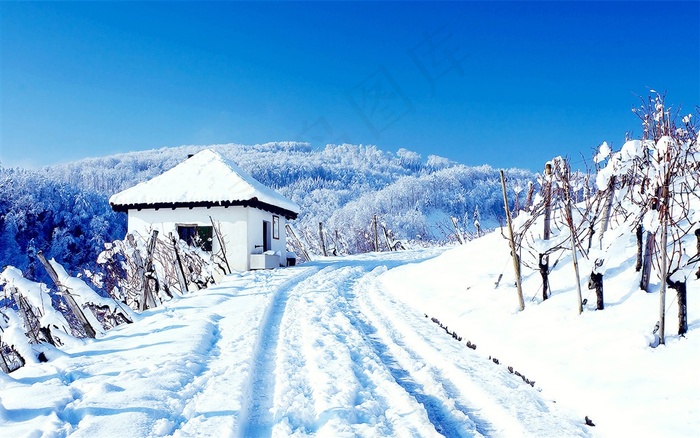 房子和美丽雪景