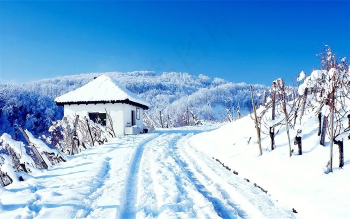 房子和美丽雪景