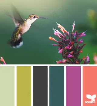 家禽鸟类配色色卡色彩搭配