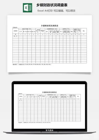 乡镇财政状况调查表excel模板