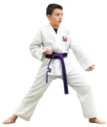 空手道 PNG免抠(1009x1200)