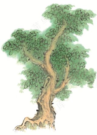 树工笔国画美图素材