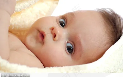 张着好奇眼神的婴儿 张着好奇眼神的婴儿