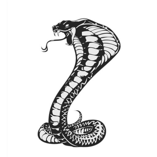 眼镜蛇 PNG免抠(700x700)