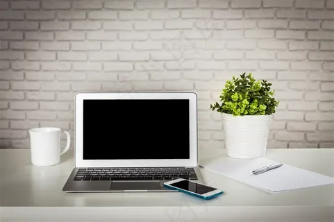 马克杯绿植与笔记本电脑