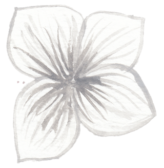 唯美森系手绘水彩花朵 免抠