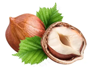 高清坚果图片下载