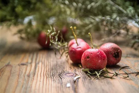 红色酸甜的山楂素材图片