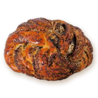 25_bun_PNG13760
