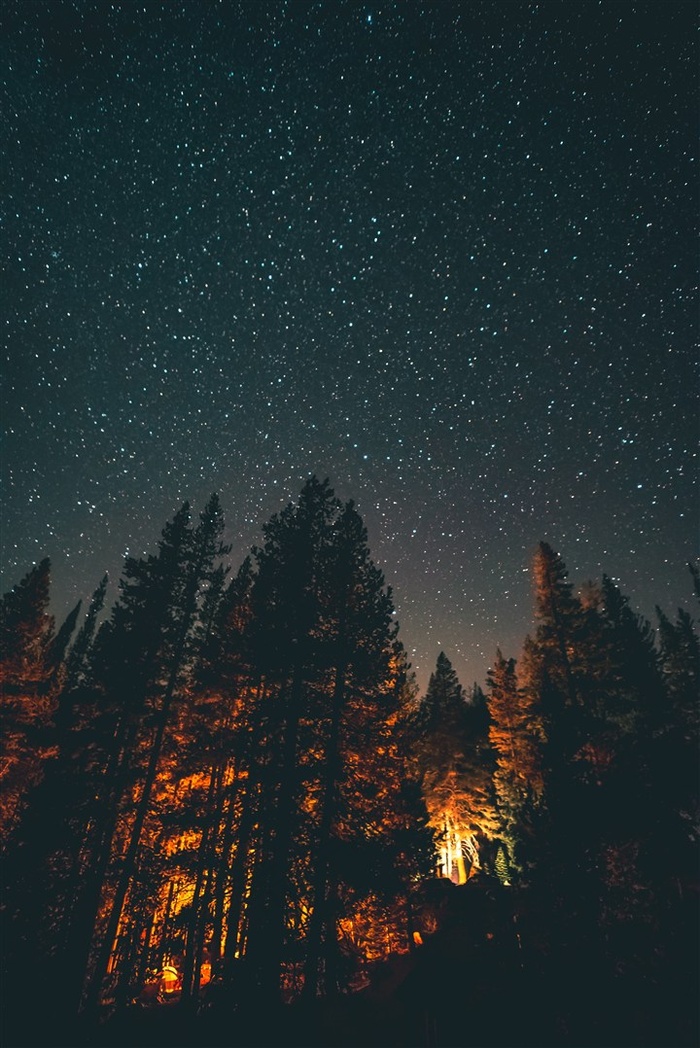 森林极光高清图片