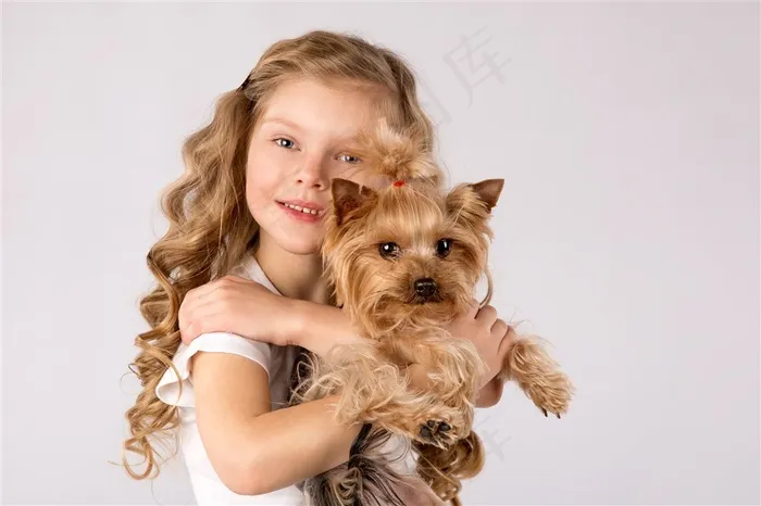 抱着棕色小狗的小女孩高清图片