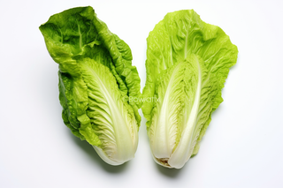 两颗白菜青菜蔬菜摄影图