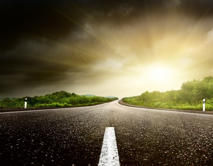 树木公路道路景色图片