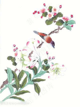 花鸟树枝简约装饰画