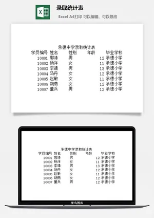 录取统计表excel模板预览图
