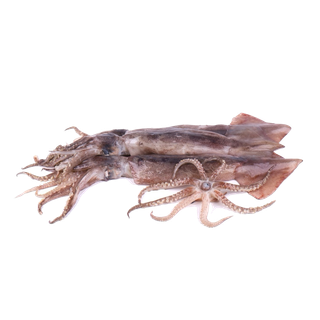 头足类(23)海鲜超市商品红酒白底图免抠实物摄影png格式图片透明底