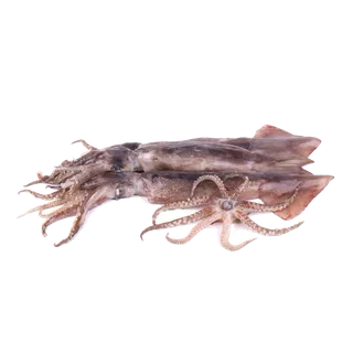 头足类(23)海鲜超市商品红酒白底图免抠实物摄影png格式图片透明底