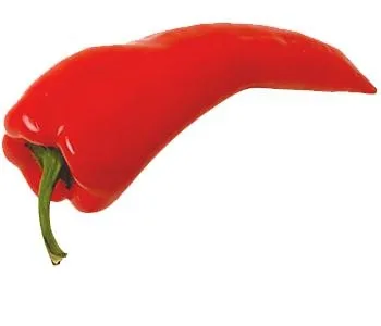 红辣椒 PNG免抠(350x300)