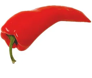 红辣椒 PNG免抠