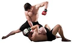 综合格斗 PNG, MMA PNG免抠(241x155)