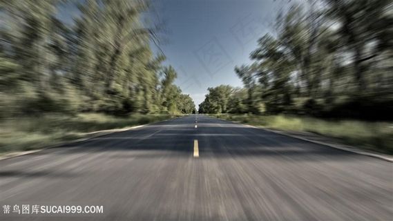 道路树林美景壁纸