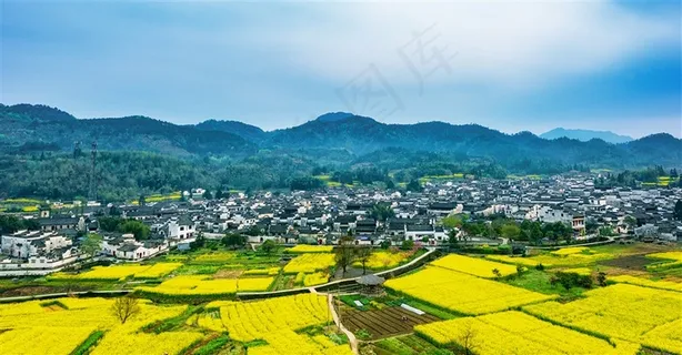 村落开满了油菜花 村落开满了油菜花