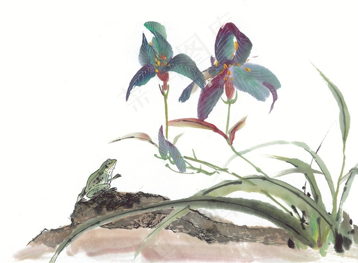 昆虫花草中国画jpg素材