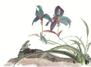 昆虫花草中国画jpg素材