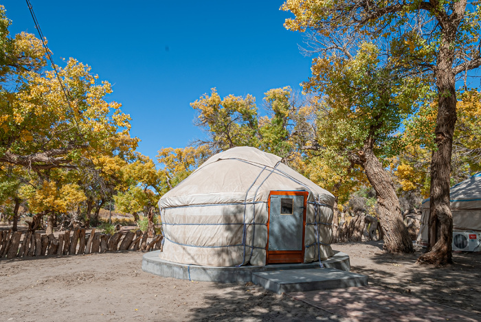 _DSC5231额济纳旗胡杨