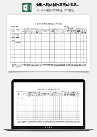 小型水利*改革完成情况统计表excel模板