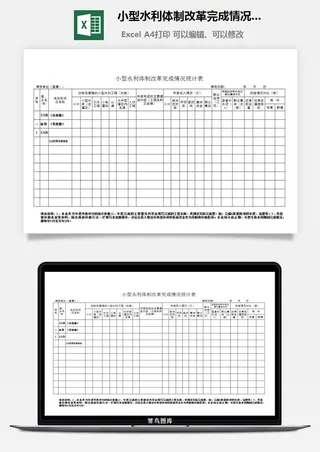 小型水利*改革完成情况统计表excel模板
