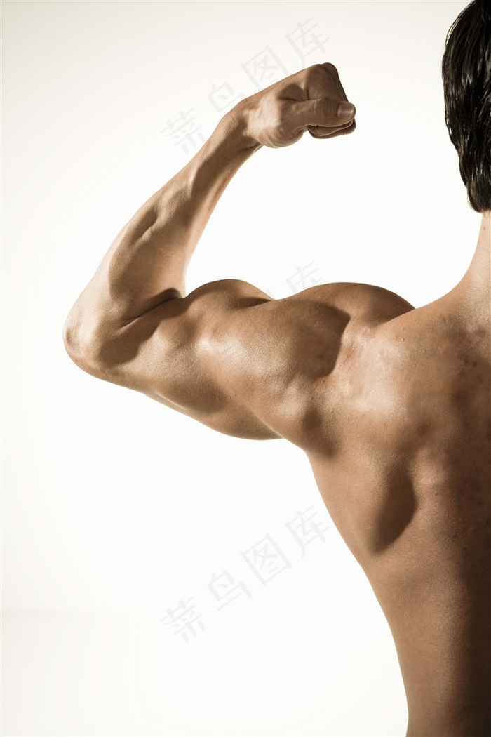 肱二头肌宣传图片