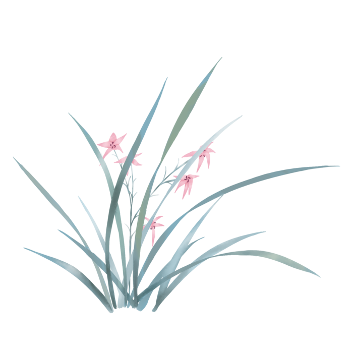 免扣元素兰花清新