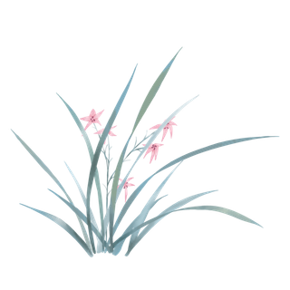 免扣元素兰花清新