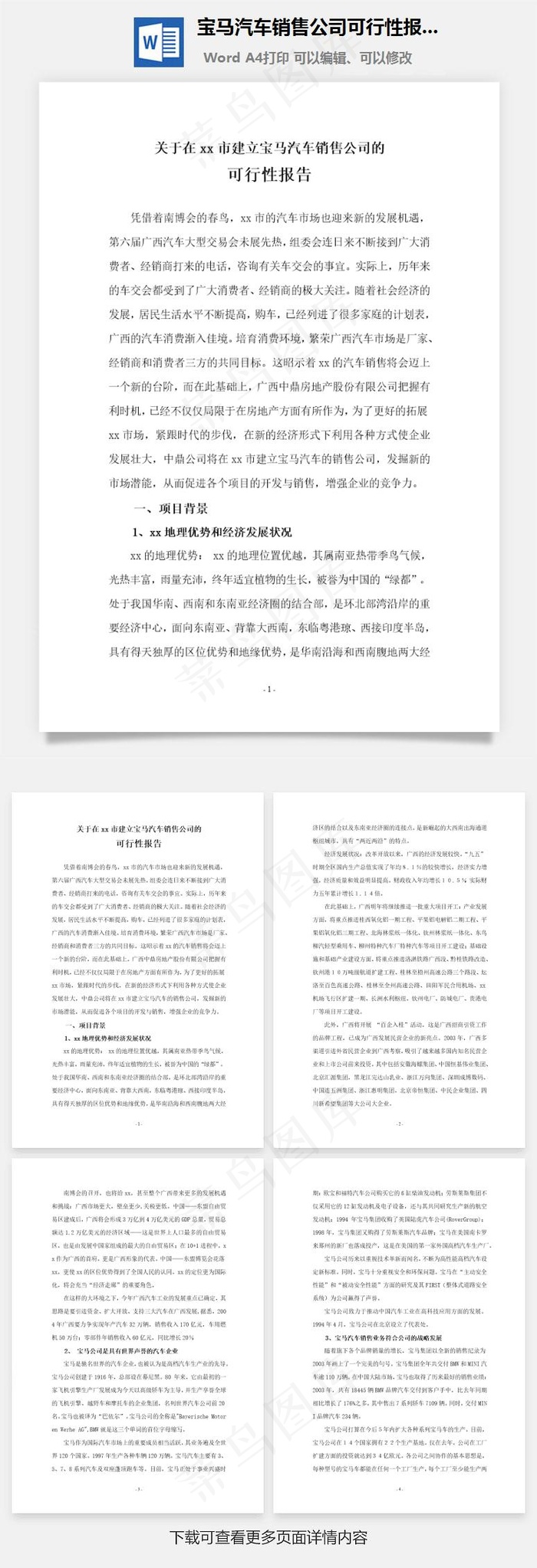 宝马汽车销售公司可行性报告word文档