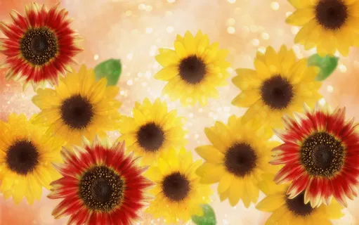 图片设计素材背景鸟语花香 图片设计素材背景鸟语花香