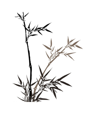 竹子水墨画中国风国画墨水书法竹子画