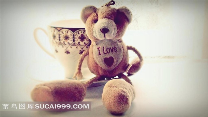 小熊杯子摄影素材