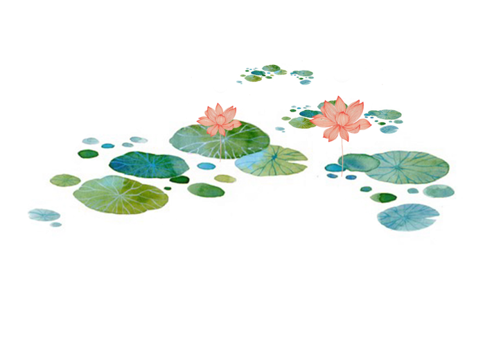 植物|荷叶|水池|背景|装饰