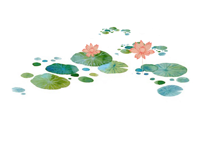 植物|荷叶|水池|背景|装饰