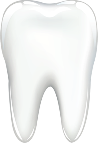 手绘-白色-卡通-牙齿-其他元素免抠png全国爱牙日