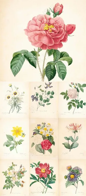 10张超美的著名画家水彩手绘图片素材 10张超美的著名画家水彩手绘图片素材