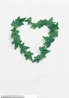 礼物饰品-漂亮的绿色心形