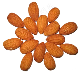 扁口核桃免抠图片