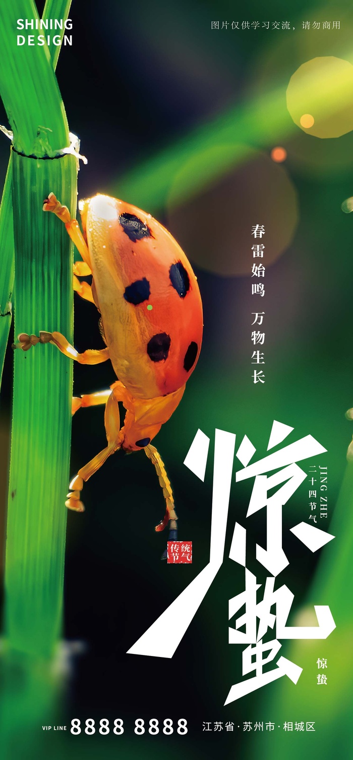惊蛰节气海报ai矢量模版下载