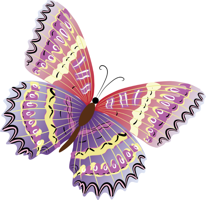 卡通动画动画蝴蝶免扣PNG手绘插画图片素材 (145)